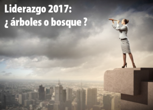 liderazgo2017